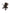 Anex Flow Kinderwagen 2in1 - Browny