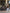 Anex Flow Kinderwagen 2in1 - Browny