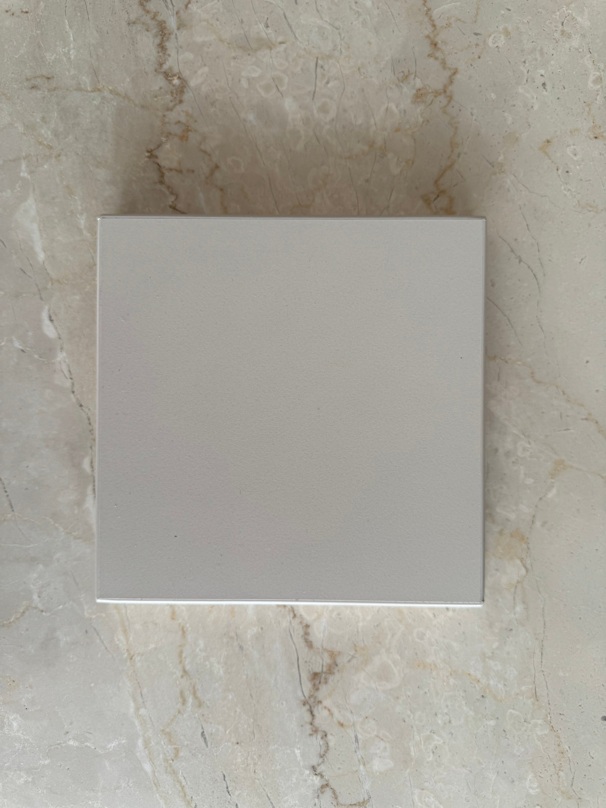 Pinio Sample Petite, Seth - Champagne