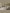 Lifetime 4-in-1 Bed met dakframe Wit - Standaard