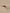 514-522-00103_8717329368637_detail-0005