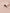 516-511-67067_8717329377301_detail-0005_f7e3c3bf-9ade-4915-87c5-193b18285649