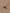 516-511-68131_5_20250611T