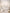 5c069659-88bc-4532-b8e5-ead7f36dce76-md