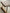 76 16 J1818-1-09_3