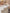 A10332, A10334Miloo_champagne_lifestyle_11
