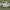 Sir Edward Fotobehang - Animal Kingdom - Vliesbehang