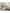 FOCOHBTX10_2_d381