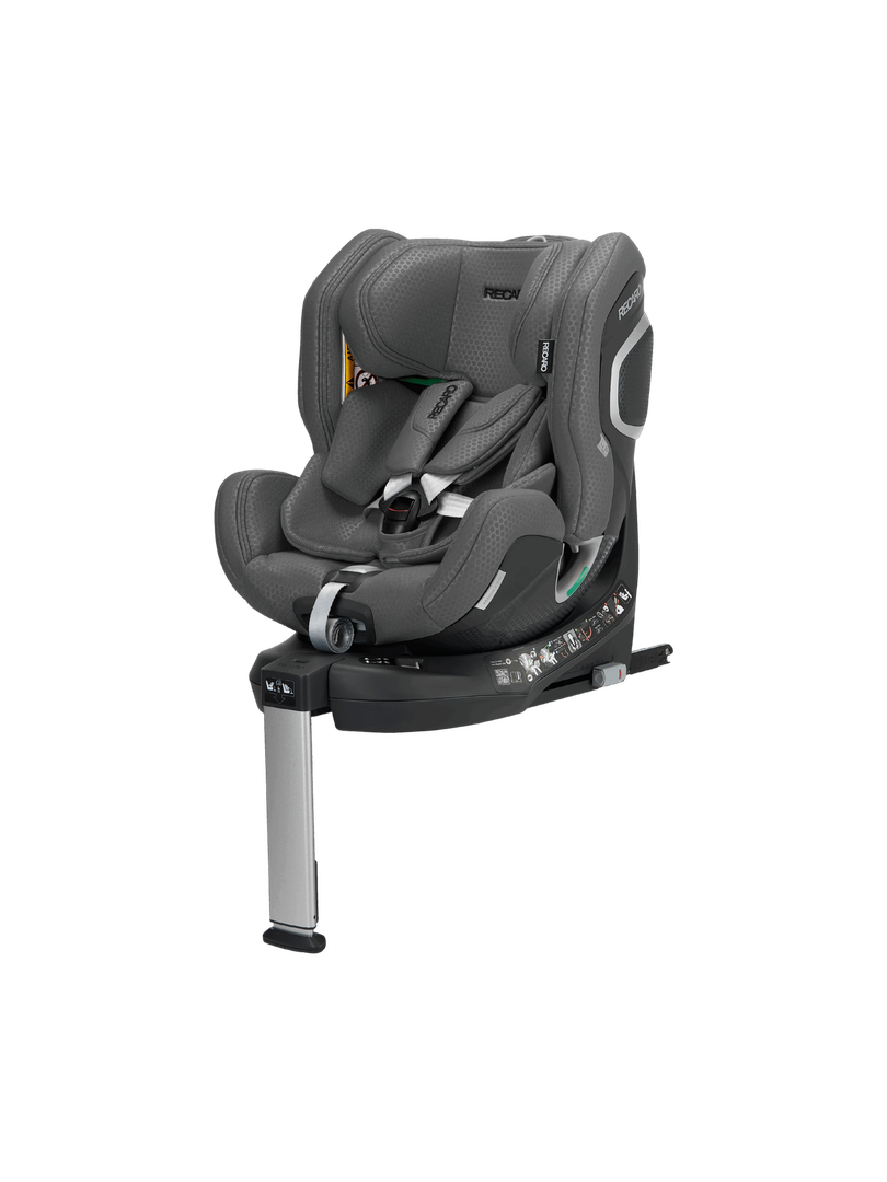 Gallant Grey (2)
