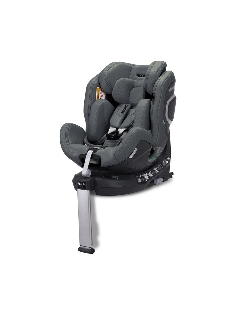 Gallant Grey (3)