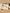 Jollein-2024-2025_8717329386860_2