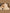 Jollein-2024-2025_8717329386860_8717329388482