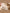 Jollein-2024-2025_8717329387508_8717329387492_6ed15286-2607-4f40-b051-690457d6d134