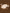 Jollein-2024-2025_8717329387539_2_cd1f3492-9663-4cc1-a9be-96cca9d78aba