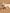 Jollein-2024-2025_8717329388680_3