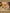 Jollein-2024-2025_8717329388710_8717329388680_8717329387553