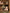 Jollein-2024-2025_8717329388727_8717329388710_8717329388550_8717329388673