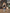 Jollein-Wintershoot_8717329378674_8717329381278