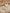 Jollein-Wintershoot_8717329380837_8717329380820_8717329380844_3