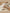 Jollein-Wintershoot_8717329381193_8717329381315_8717329381391_cbc8bcbd-9d60-4192-8b4b-dda88be91750