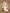 Jollein-Wintershoot_8717329381438_4