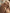 Jollein23-24_8717329376151