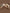 Jollein23-24_8717329376151_2