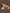 Jollein23-24_8717329376151_8717329376168_8717329376182_8717329376175