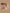 Jollein23_24_8717329375758_8717329375765_8717329375772