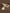 Jollein23_24_8717329376151_8717329376168_8717329376182_8717329376175_cc140f0c-45e5-4cf4-9f09-68cee32c0c17