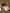 Jollein23_24_8717329377158_8717329377141_8717329377219_8717329377202_8717329377943_871732937809_19b0be09-f8f8-43ac