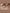 Jollein23_24_8717329377301_8717329377288_38b40fa2-4926-4526-b165-414c7058b57f