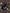 Jollein23_24_8717329378674_8717329378100_2_14aae264-2bf2-4540-8a60-51524f20b953