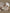 Jollein_Nijntje_8717329379114_8717329379121_8717329379138_4_d5abbff5-8c76-4335-ad60-2906c4a7509b