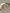 KID_F21_1310062588_1310066588_L_1