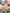 KID_F21_1310062727_1311002727_L_1 (2)