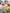 KID_F21_1310062727_1311002727_L_1 (2)