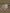 KID_F21_1310067588_1310067727_L_1