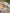 KID_F22_1310024082_1310024856_1310067856_L_2