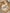 KID_F22_1310062082_L_1
