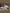 KID_F22_1310066082_1310062856_1311002856_L_1