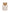 KID_F22_1311019082_P_1
