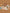 KID_F23_1310062340_1310062642_1311002340_L_1