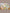 KID_F24_13100037007_13100262007_13100034008_L_2
