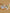 KID_F24_13100622007_13100624008_13100664008_L_1