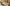 Promotiebanner
