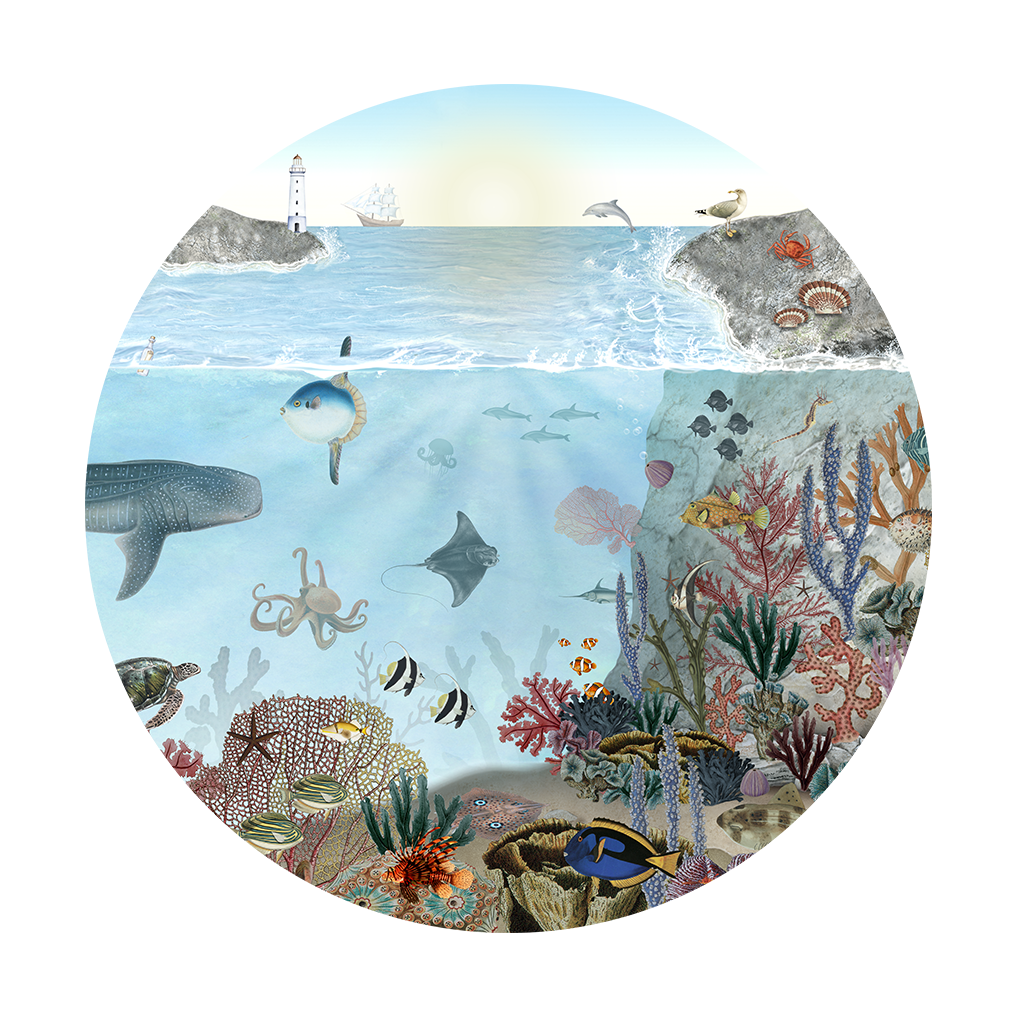 Sir Edward Behangcirkel - Ocean Lookbook - Peel & Stick 120cm