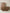 Quax Kyo 3-Delige Babykamer Walnut