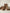 Quax Kyo 3-Delige Meegroeikamer Walnut