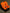 Vibrant Orange 1